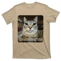 Rage Is Consuming Me Funny Silly Staring Cat Lovers Meme T-Shirt