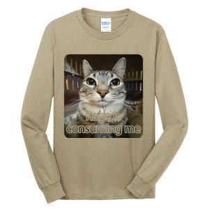 Rage Is Consuming Me Funny Silly Staring Cat Lovers Meme Tall Long Sleeve T-Shirt