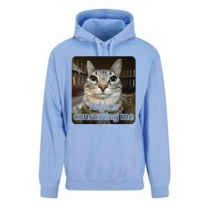 Rage Is Consuming Me Funny Silly Staring Cat Lovers Meme Unisex Surf Hoodie