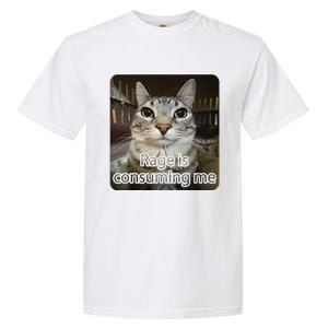 Rage Is Consuming Me Funny Silly Staring Cat Lovers Meme Garment-Dyed Heavyweight T-Shirt