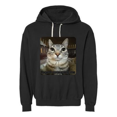 Rage Is Consuming Me Funny Meme Cat Joke Cat Lovers Garment-Dyed Fleece Hoodie