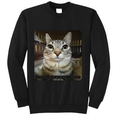 Rage Is Consuming Me Funny Meme Cat Joke Cat Lovers Sweatshirt
