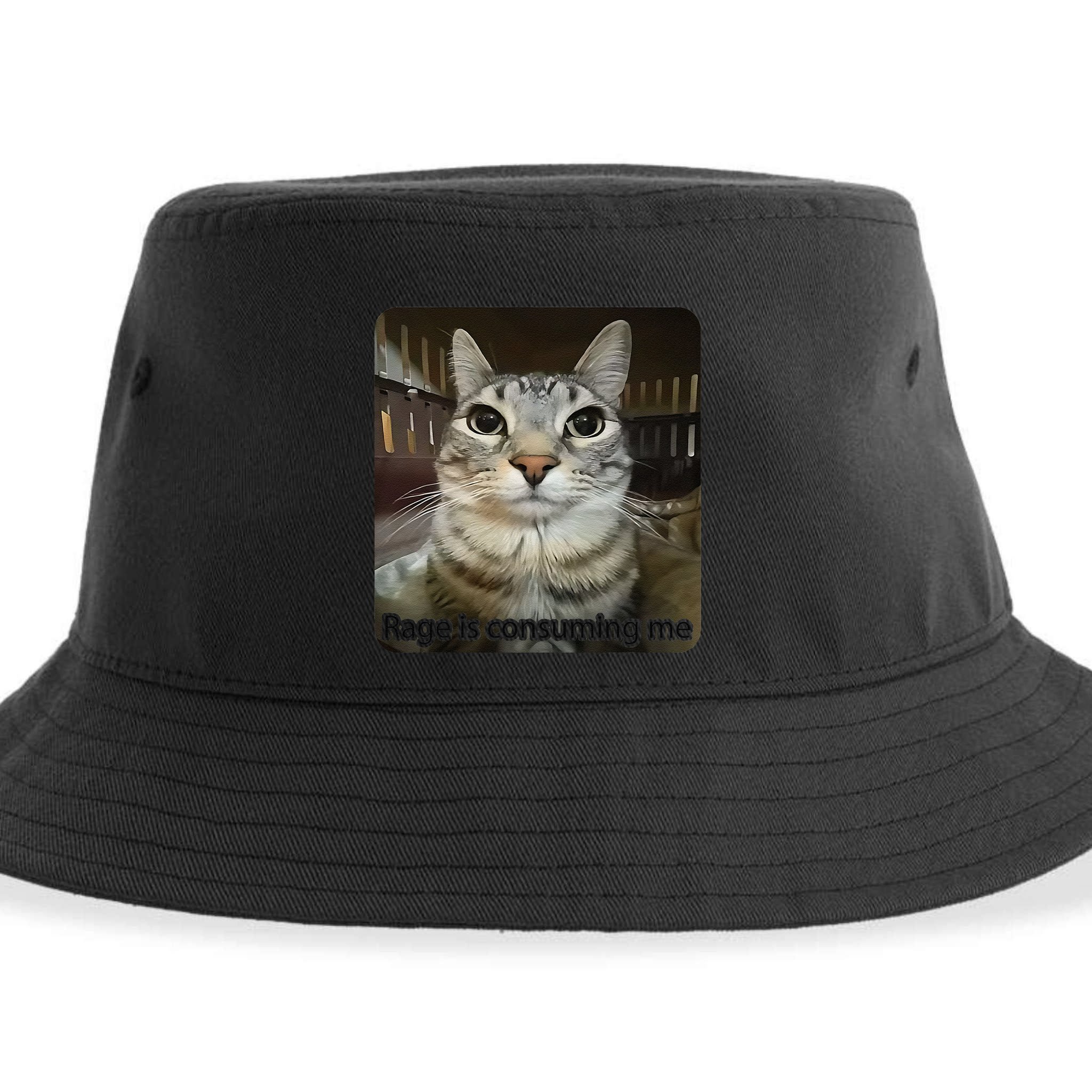 Rage Is Consuming Me Funny Meme Cat Joke Cat Lovers Sustainable Bucket Hat