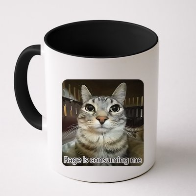 Rage Is Consuming Me Funny Meme Cat Joke Cat Lovers Mug