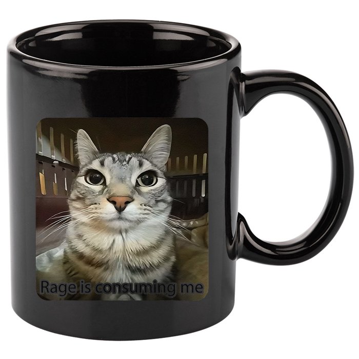 Rage Is Consuming Me Funny Meme Cat Joke Cat Lovers 11oz C Handle Ceramic Mug