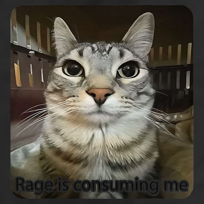 Rage Is Consuming Me Funny Meme Cat Joke Cat Lovers 15oz Campfire Ceramic Mug