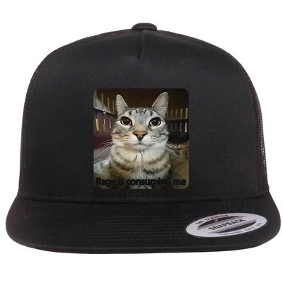Rage Is Consuming Me Funny Meme Cat Joke Cat Lovers Flatbill Hat