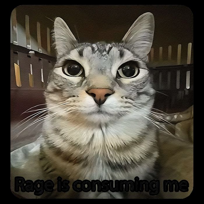 Rage Is Consuming Me Funny Meme Cat Joke Cat Lovers 16 in Basic Backpack