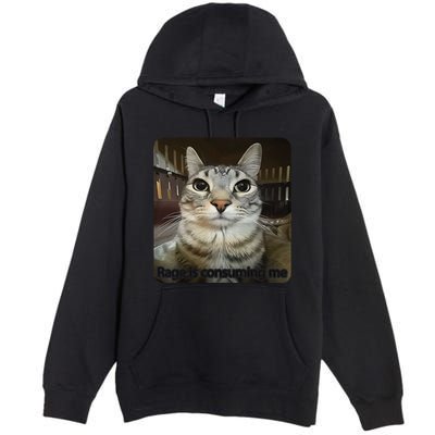 Rage Is Consuming Me Funny Meme Cat Joke Cat Lovers Premium Pullover Hoodie