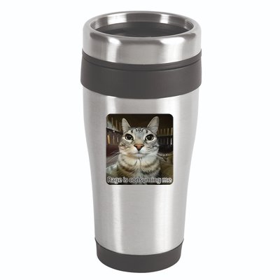 Rage Is Consuming Me Funny Meme Cat Joke Cat Lovers 16oz Travel Tumbler