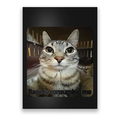 Rage Is Consuming Me Funny Meme Cat Joke Cat Lovers Poster