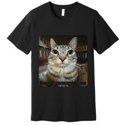 Rage Is Consuming Me Funny Meme Cat Joke Cat Lovers Premium T-Shirt