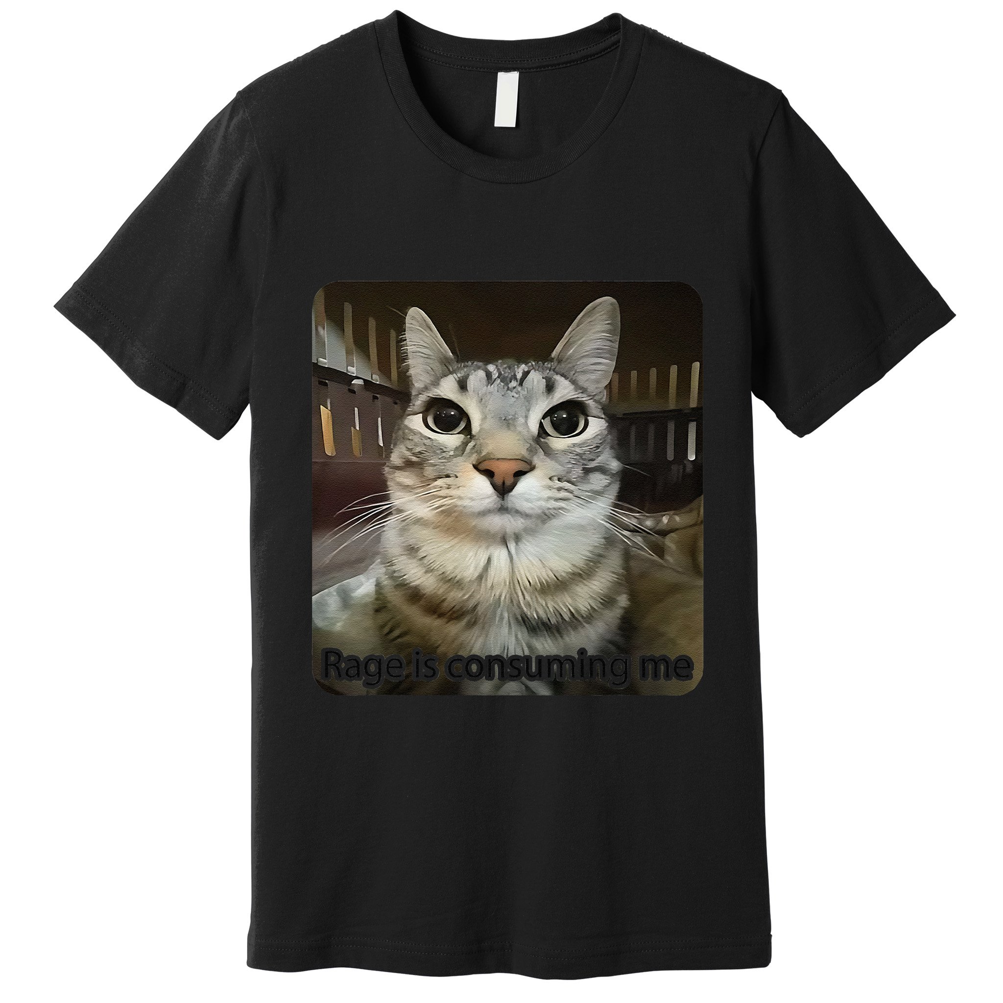 Rage Is Consuming Me Funny Meme Cat Joke Cat Lovers Premium T-Shirt