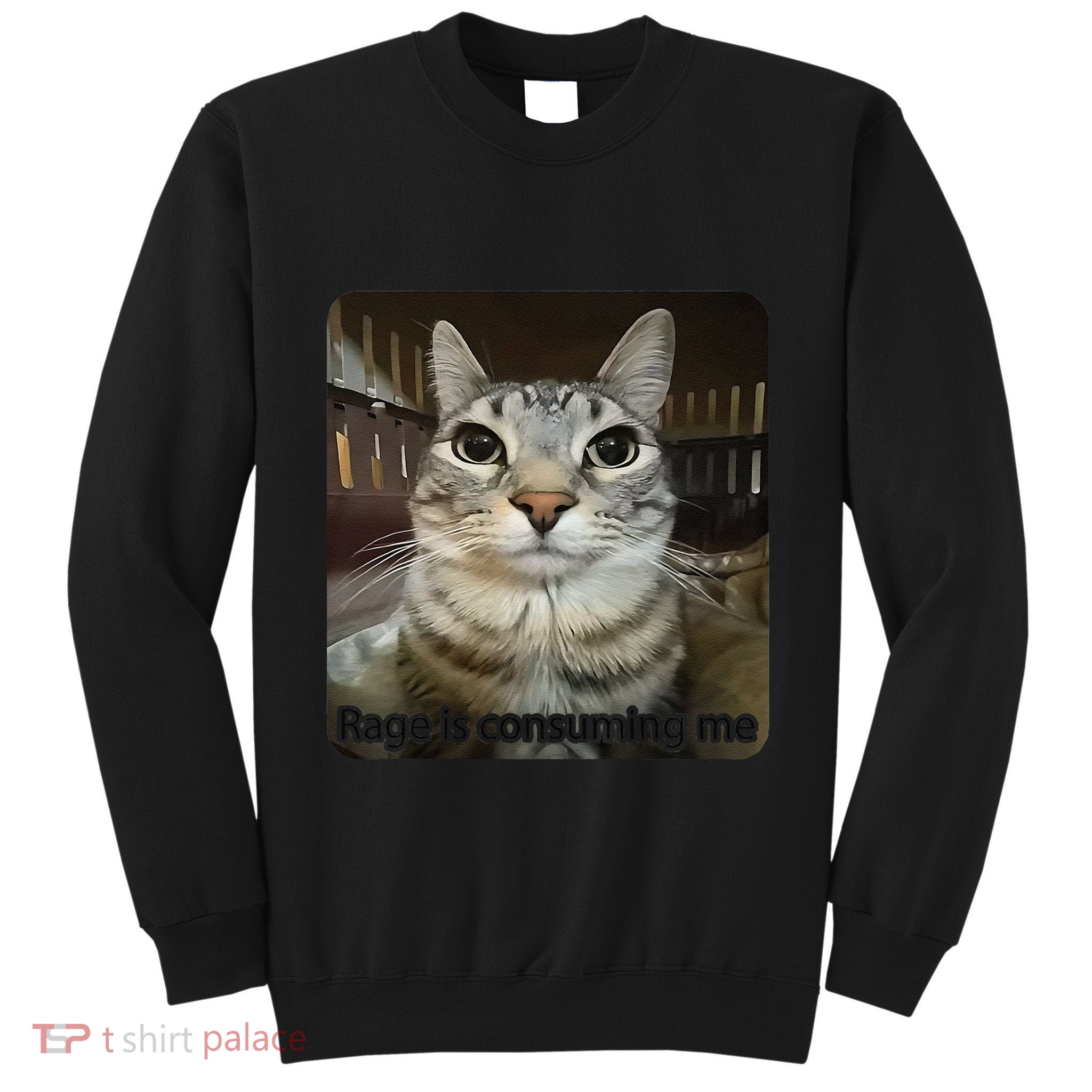 Rage Is Consuming Me Funny Meme Cat Joke Cat Lovers Tall Sweatshirt