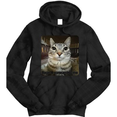 Rage Is Consuming Me Funny Meme Cat Joke Cat Lovers Tie Dye Hoodie