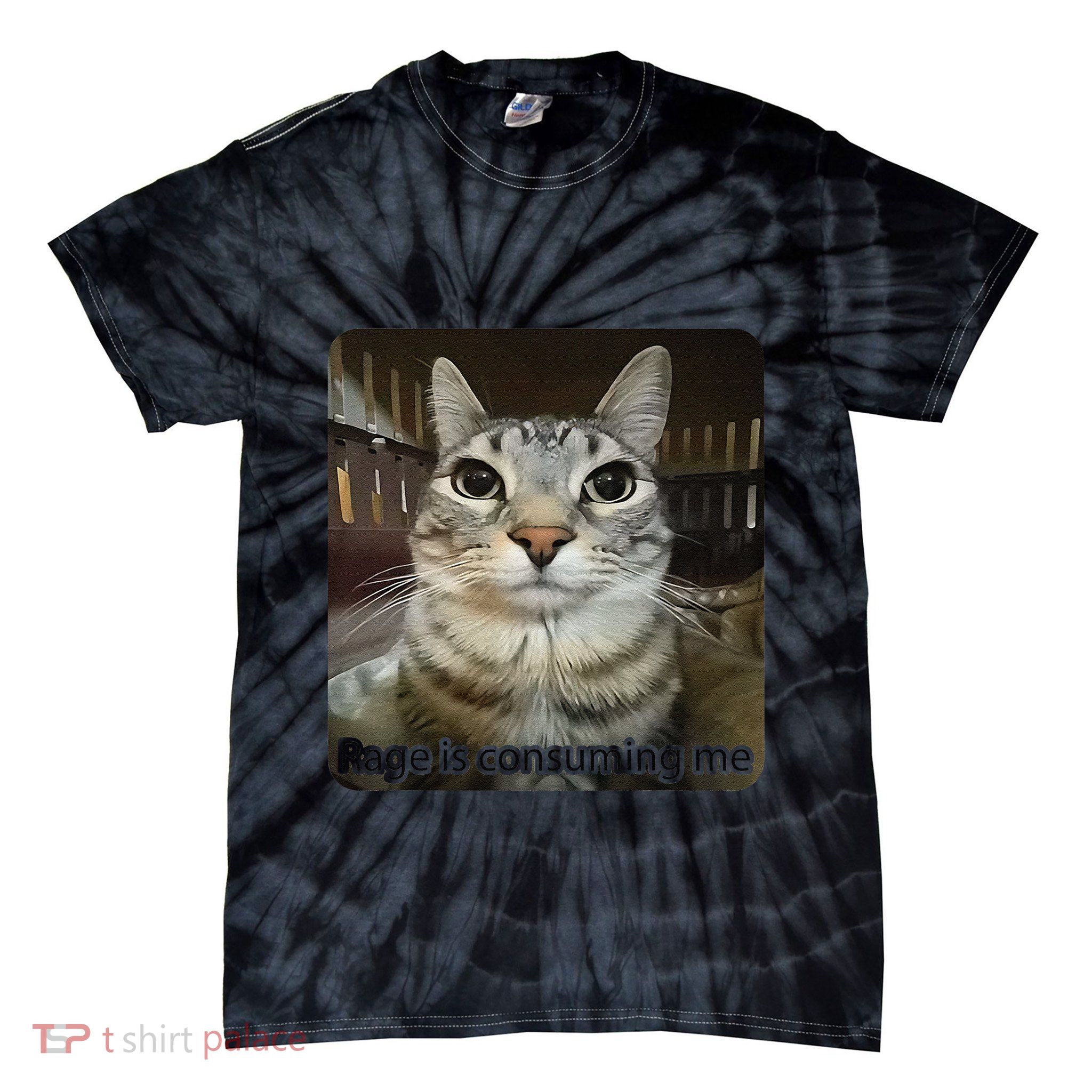 Rage Is Consuming Me Funny Meme Cat Joke Cat Lovers Tie-Dye T-Shirt