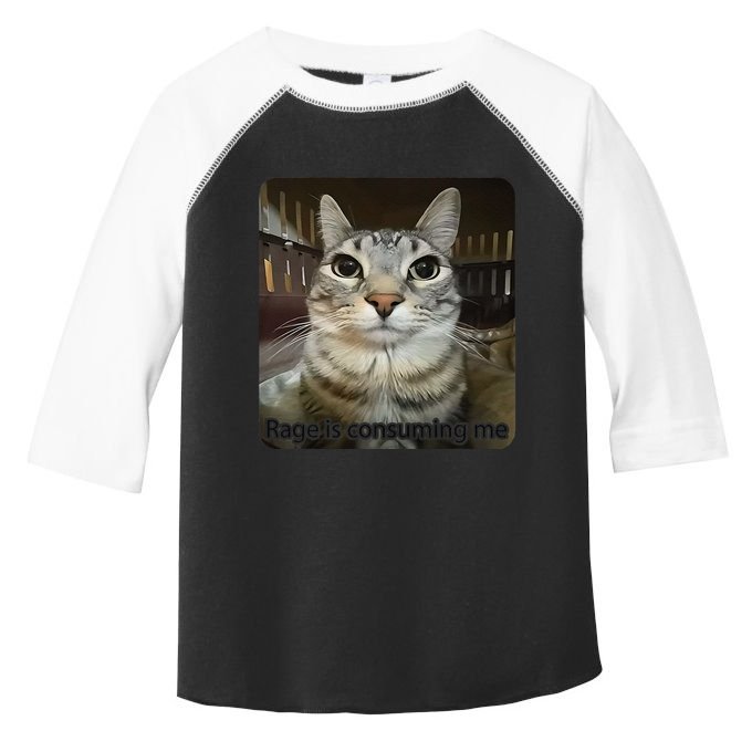 Rage Is Consuming Me Funny Meme Cat Joke Cat Lovers Toddler Fine Jersey T-Shirt