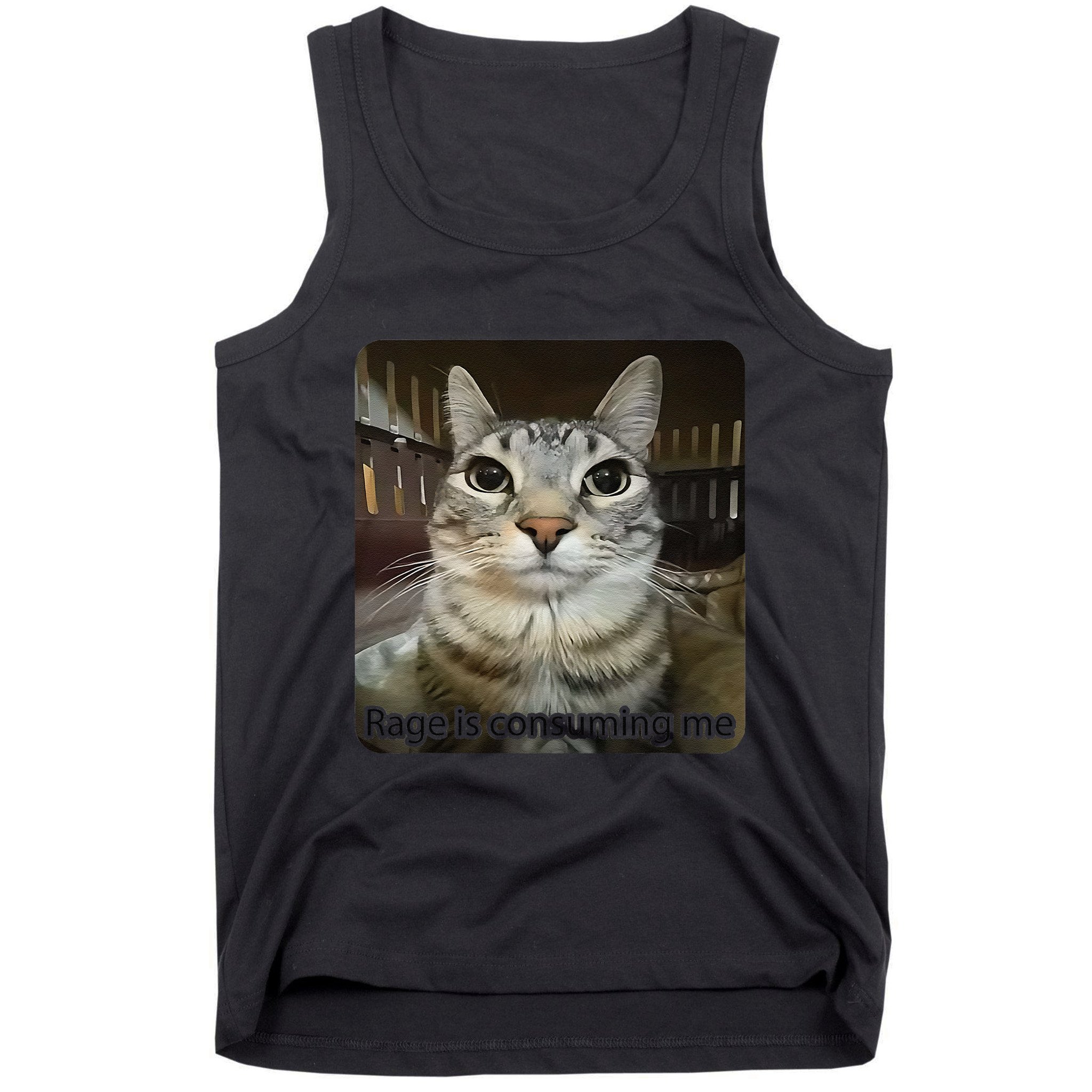 Rage Is Consuming Me Funny Meme Cat Joke Cat Lovers Tank Top
