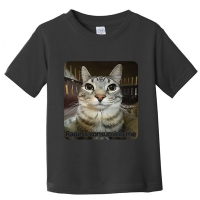 Rage Is Consuming Me Funny Meme Cat Joke Cat Lovers Toddler T-Shirt