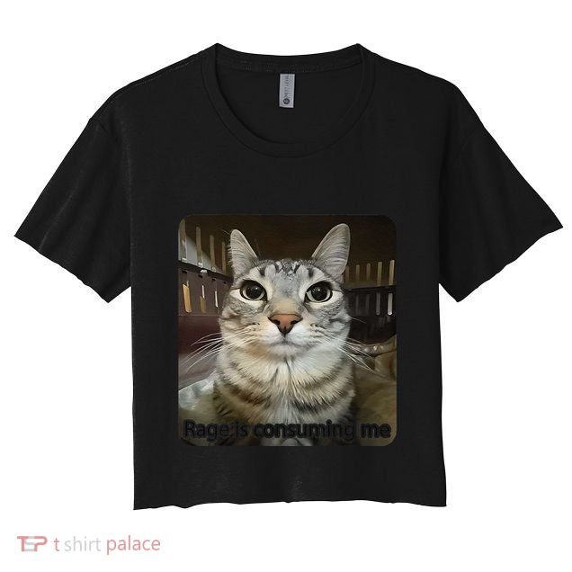 Rage Is Consuming Me Funny Meme Cat Joke Cat Lovers Crop Top