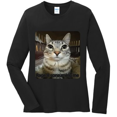 Rage Is Consuming Me Funny Meme Cat Joke Cat Lovers Ladies Long Sleeve Shirt