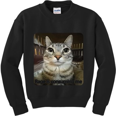 Rage Is Consuming Me Funny Meme Cat Joke Cat Lovers Kids Sweatshirt