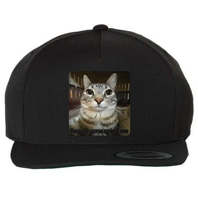 Rage Is Consuming Me Funny Meme Cat Joke Cat Lovers Wool Snapback Cap