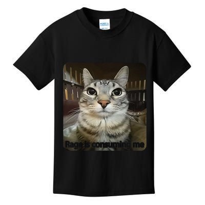 Rage Is Consuming Me Funny Meme Cat Joke Cat Lovers Kids T-Shirt