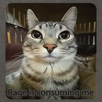 Rage Is Consuming Me Funny Meme Cat Joke Cat Lovers Cotton Canvas Backpack