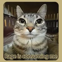 Rage Is Consuming Me Funny Meme Cat Joke Cat Lovers Cooling Performance Crew T-Shirt