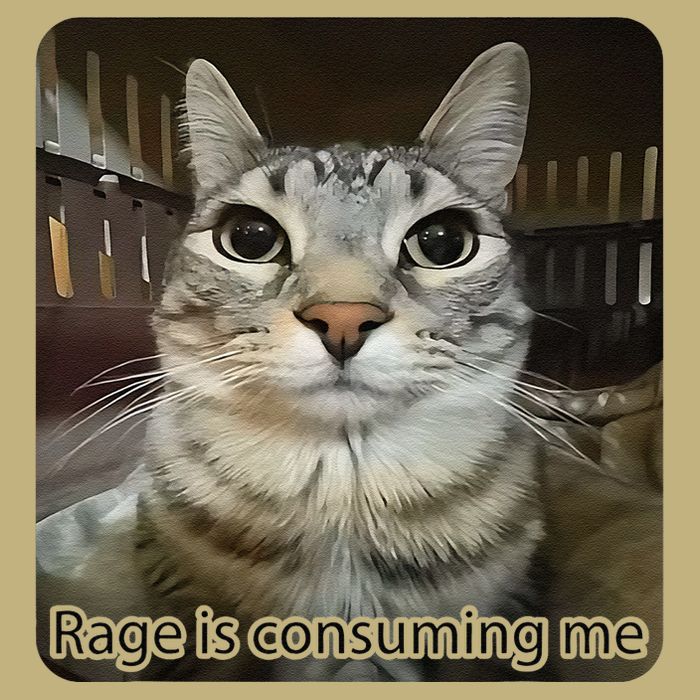 Rage Is Consuming Me Funny Meme Cat Joke Cat Lovers Cooling Performance Crew T-Shirt