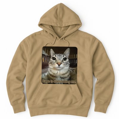 Rage Is Consuming Me Funny Meme Cat Joke Cat Lovers Hoodie
