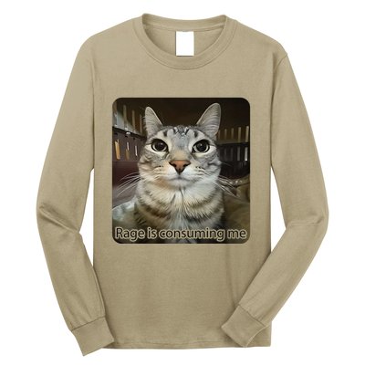 Rage Is Consuming Me Funny Meme Cat Joke Cat Lovers Long Sleeve Shirt