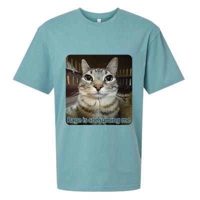 Rage Is Consuming Me Funny Meme Cat Joke Cat Lovers Sueded Cloud Jersey T-Shirt