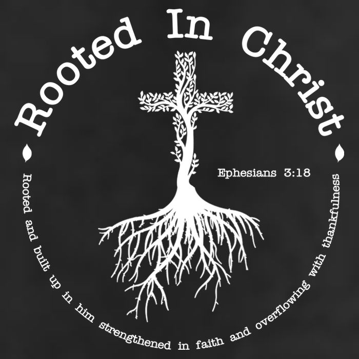 Rooted In Christ Christianity Quote 7 Panel Mesh Trucker Snapback Hat