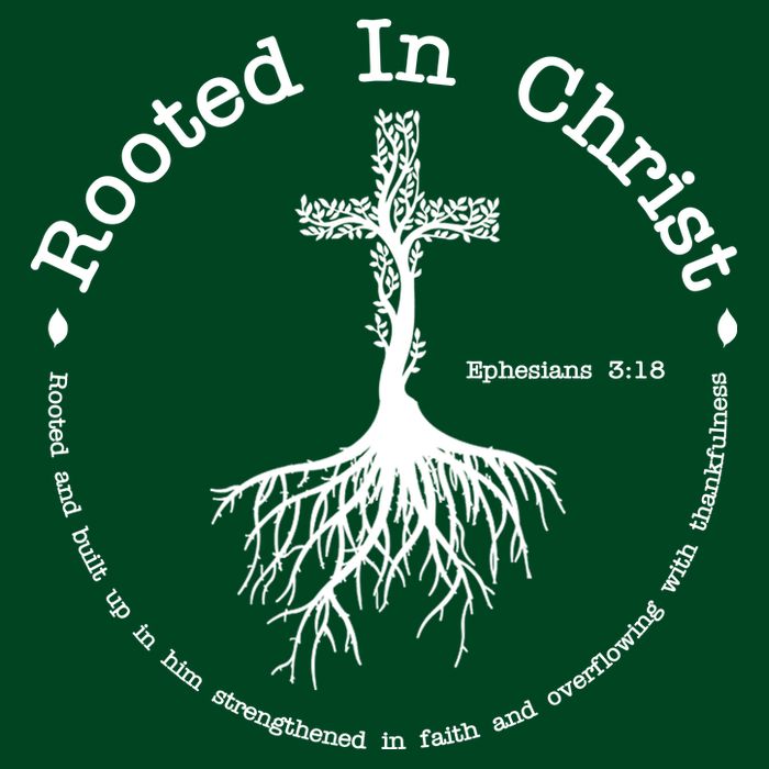 Rooted In Christ Christianity Quote T-Shirt