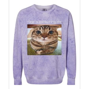 Rage Is Consuming Me Silly Cat Meme Colorblast Crewneck Sweatshirt