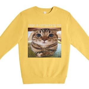 Rage Is Consuming Me Silly Cat Meme Premium Crewneck Sweatshirt