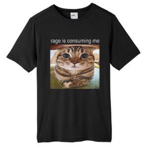 Rage Is Consuming Me Silly Cat Meme Tall Fusion ChromaSoft Performance T-Shirt