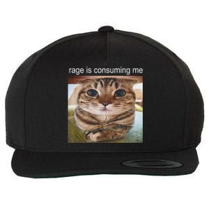 Rage Is Consuming Me Silly Cat Meme Wool Snapback Cap