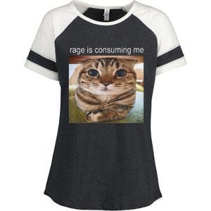 Rage Is Consuming Me Silly Cat Meme Enza Ladies Jersey Colorblock Tee