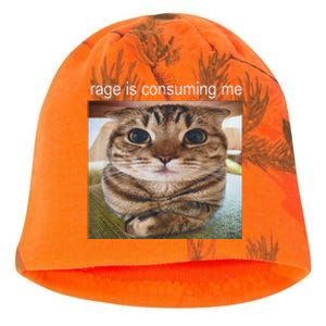 Rage Is Consuming Me Silly Cat Meme Kati - Camo Knit Beanie