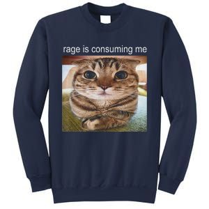 Rage Is Consuming Me Silly Cat Meme Sweatshirt