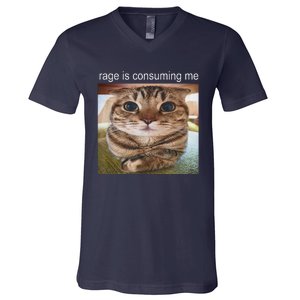 Rage Is Consuming Me Silly Cat Meme V-Neck T-Shirt