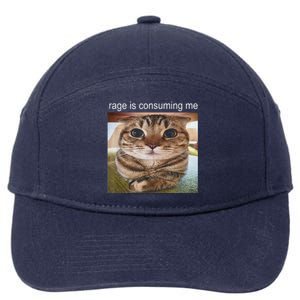 Rage Is Consuming Me Silly Cat Meme 7-Panel Snapback Hat