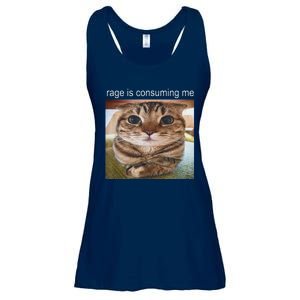 Rage Is Consuming Me Silly Cat Meme Ladies Essential Flowy Tank