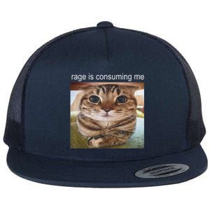 Rage Is Consuming Me Silly Cat Meme Flat Bill Trucker Hat