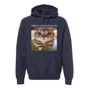 Rage Is Consuming Me Silly Cat Meme Premium Hoodie