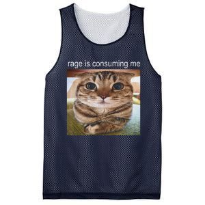 Rage Is Consuming Me Silly Cat Meme Mesh Reversible Basketball Jersey Tank