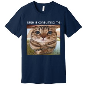 Rage Is Consuming Me Silly Cat Meme Premium T-Shirt